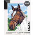 Pony
