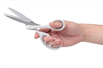 Raymay Swingcut Scissors - Standard — by Good Design