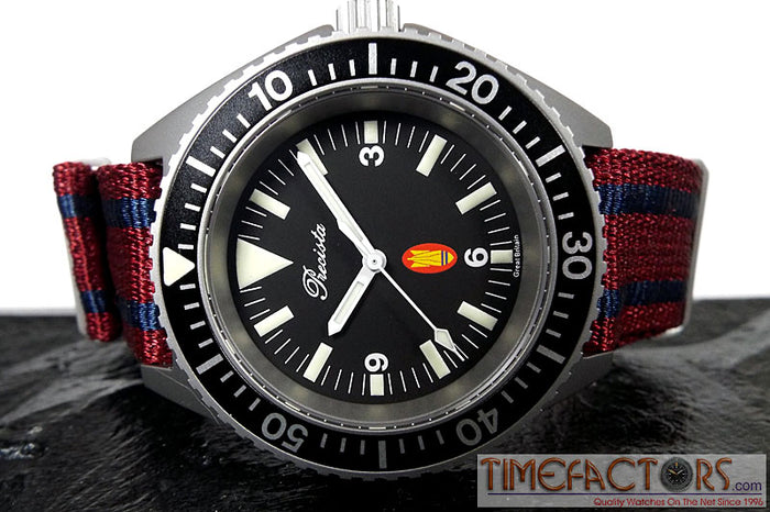 REGIMENTAL NATO STRAPS