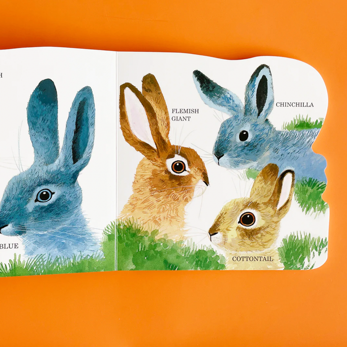 RICHARD SCARRY'S BUNNIES — by Richard Scarry