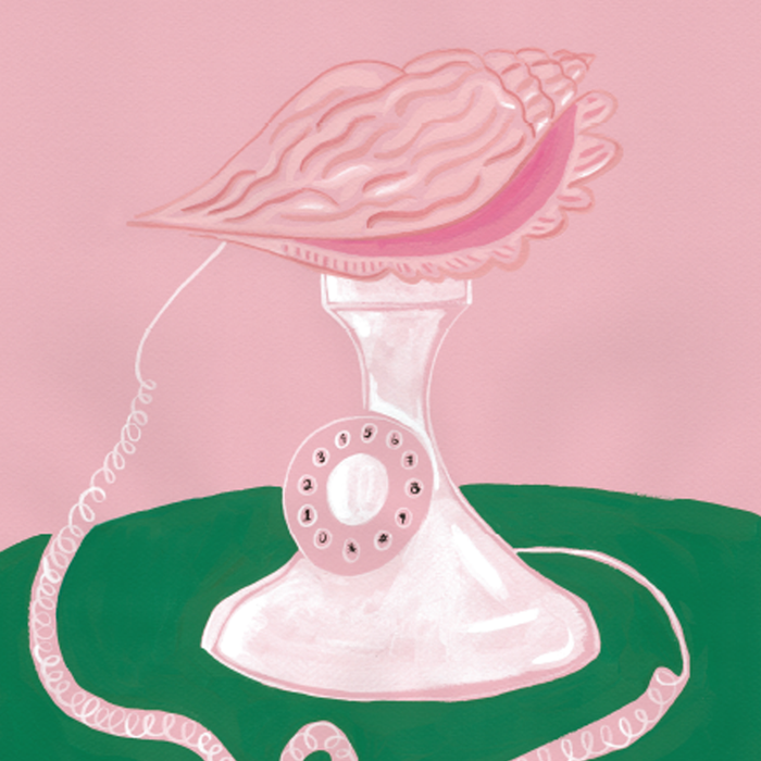 SEA SHELL PHONE, 11" X 14" — by Isabelle Feliu