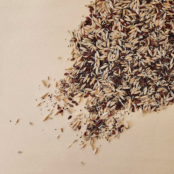SEED BOX - BEES AND POLLINATORS COLLECTION — by Le nutritionniste urbain
