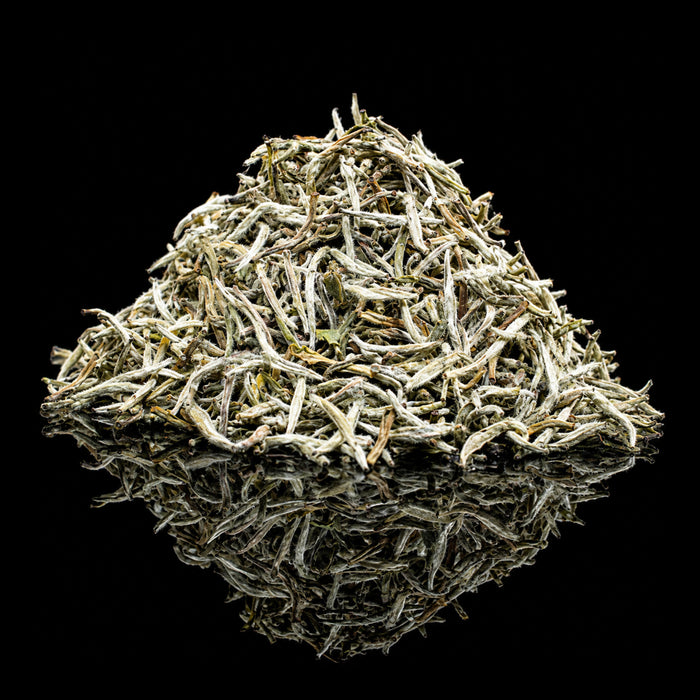 Silver Needle Tea