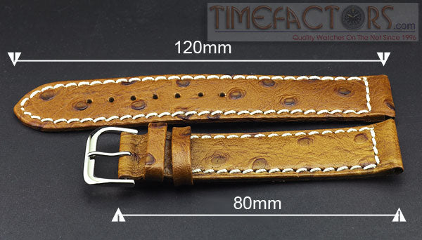 TIMEFACTORS CALF LEATHER OSTRICH GRAIN
