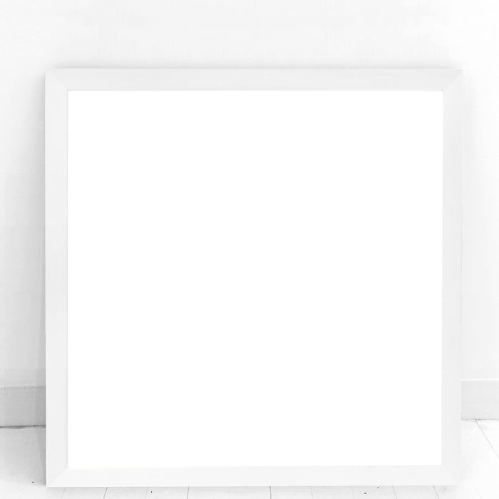 WHITE FRAME — Multiple Sizes — PICK UP ONLY