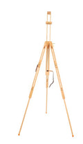 Winsor and Newton Field Easel